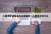 八重神子被焯出白水搜狐网（八重神子叫什么）